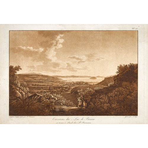 FRANZ HEGI : 'Environs du Lac de Bienne' (DOBIASCHOFSKY AUKTIONEN AG)