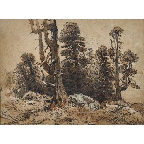 HANS SANDREUTER : Waldpartie (DOBIASCHOFSKY AUKTIONEN AG)