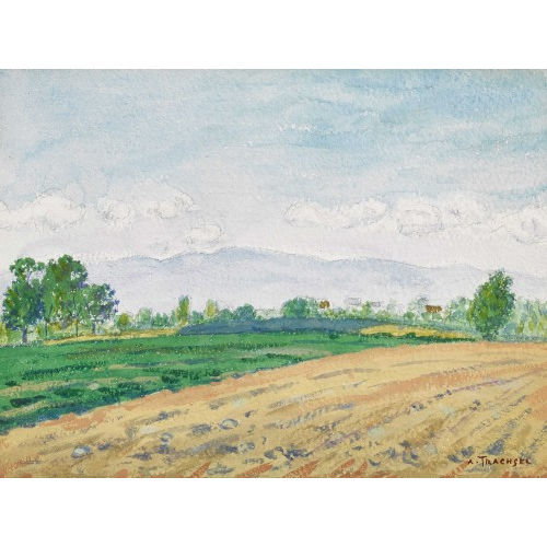 ALBERT TRACHSEL : Sommerliche Feldlandschaft (DOBIASCHOFSKY AUKTIONEN AG)