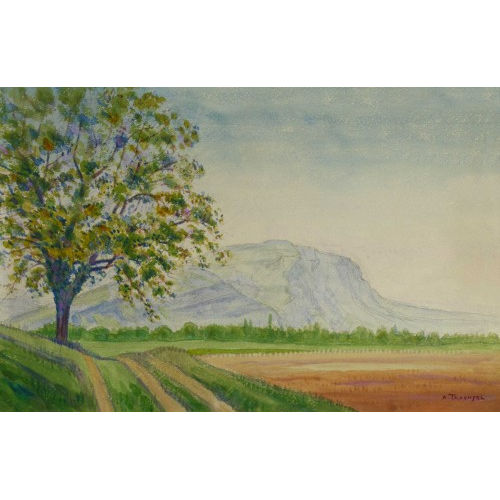 ALBERT TRACHSEL : Ackerlandschaft mit Baum (DOBIASCHOFSKY AUKTIONEN AG)
