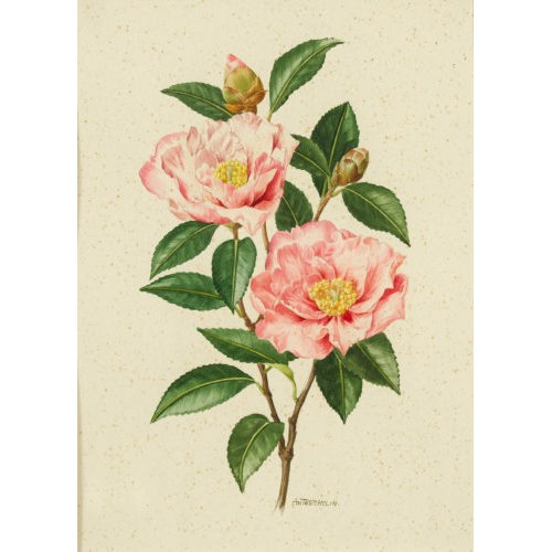 ANNE MARIE TRECHSLIN : Rosenranke mit Bl�ten (DOBIASCHOFSKY AUKTIONEN AG)