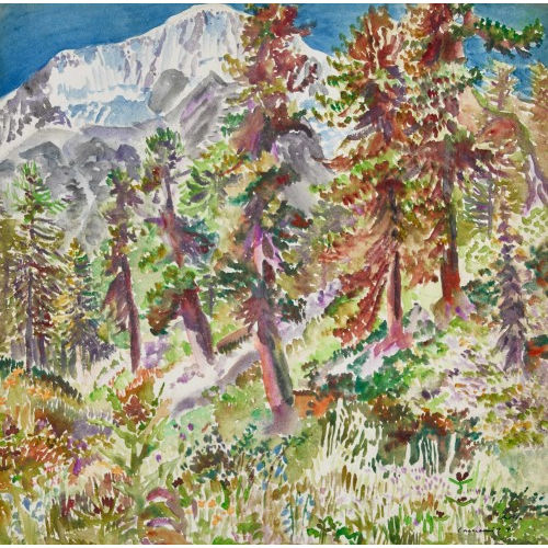PAUL CAMENISCH : Berglandschaft mit Wald (DOBIASCHOFSKY AUKTIONEN AG)
