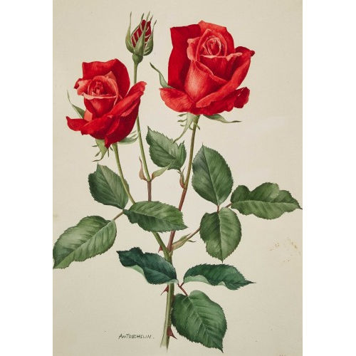ANNE MARIE TRECHSLIN : Rote Rosen (DOBIASCHOFSKY AUKTIONEN AG)