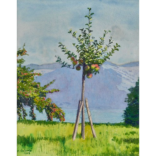 PLINIO COLOMBI : Junger Apfelbaum (DOBIASCHOFSKY AUKTIONEN AG)