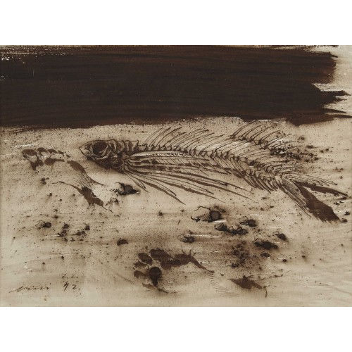 HANS ERNI : Fossilien (DOBIASCHOFSKY AUKTIONEN AG)