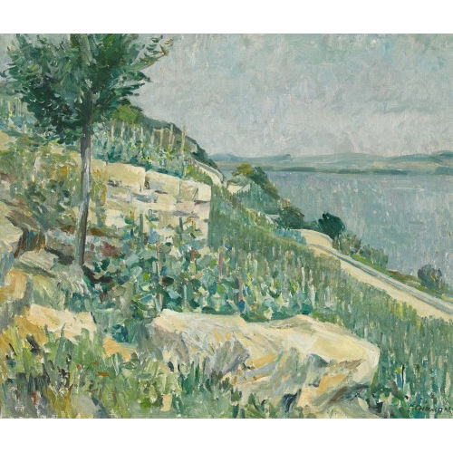 FERNAND GIAUQUE : 'Landschaft am Bielersee' (DOBIASCHOFSKY AUKTIONEN AG)