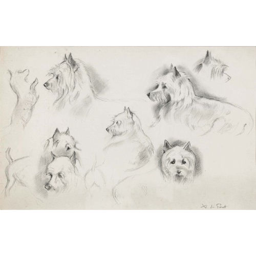 XAVIER DE PORET : Hundestudien (DOBIASCHOFSKY AUKTIONEN AG)