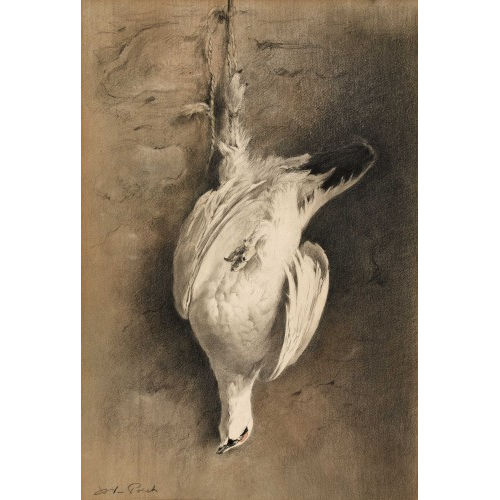 XAVIER DE PORET : Nature morte au lagop�de (DOBIASCHOFSKY AUKTIONEN AG)