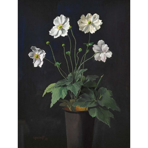 ERNST KREIDOLF : 'Herbstanemone' (DOBIASCHOFSKY AUKTIONEN AG)