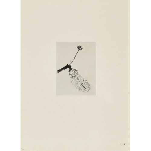 LOUISE BOURGEOIS : Ohne Titel (DOBIASCHOFSKY AUKTIONEN AG)