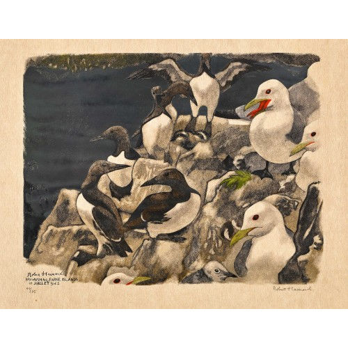 ROBERT HAINARD : 'Guillemots et mouettes tridactyles' (DOBIASCHOFSKY AUKTIONEN AG)