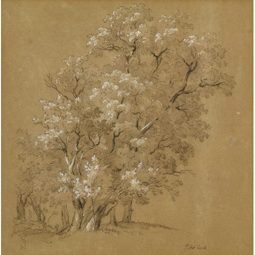 JEAN-ANTOINE LINCK : Baumstudie (DOBIASCHOFSKY AUKTIONEN AG)
