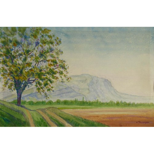 ALBERT TRACHSEL : Ackerlandschaft mit Baum (DOBIASCHOFSKY AUKTIONEN AG)