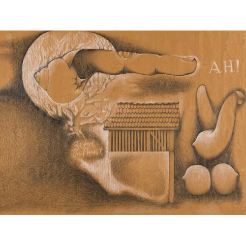 ALFRED HOFKUNST : 'A.H.!' (DOBIASCHOFSKY AUKTIONEN AG)
