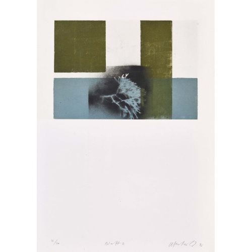 HELMUT FEDERLE : 'Blatt 2' (DOBIASCHOFSKY AUKTIONEN AG)