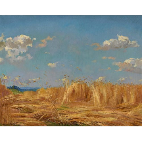 MARCUS JACOBI : 'Korn und Wolken' (DOBIASCHOFSKY AUKTIONEN AG)