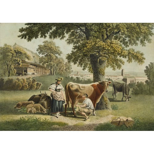 CHRISTOPH RHEINER : 'Aux Environs de Berne' (DOBIASCHOFSKY AUKTIONEN AG)