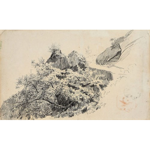 ALBERT ANKER : Naturstudie (DOBIASCHOFSKY AUKTIONEN AG)