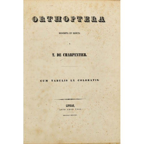 TOUSSAINT DE CHARPENTIER : 'Orthoptera. Descripta et Depicta' (DOBIASCHOFSKY AUKTIONEN AG)