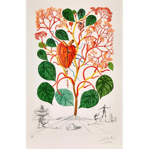 SALVADOR DAL� : 'Begonia' (DOBIASCHOFSKY AUKTIONEN AG)