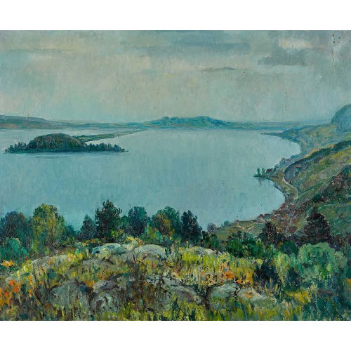 20. JH. SCHWEIZ : Bielersee mit St. Petersinsel (DOBIASCHOFSKY AUKTIONEN AG)