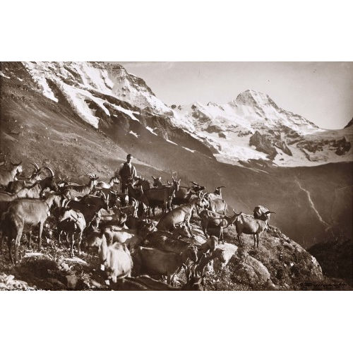 ARNOLD KLOPFENSTEIN : 'Breithorn - Grosshorn' (DOBIASCHOFSKY AUKTIONEN AG)