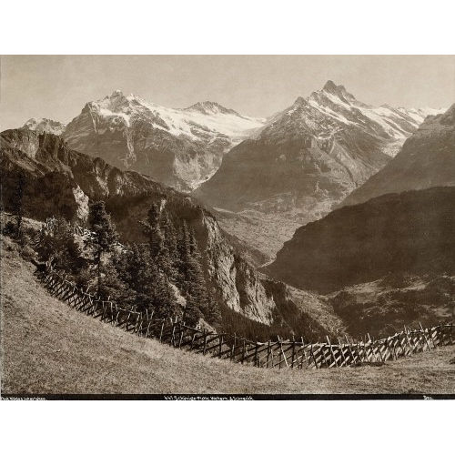 OSKAR NIKLES : 'Sch�nige Platte, Wetterhorn & Schreckhorn' (DOBIASCHOFSKY AUKTIONEN AG)