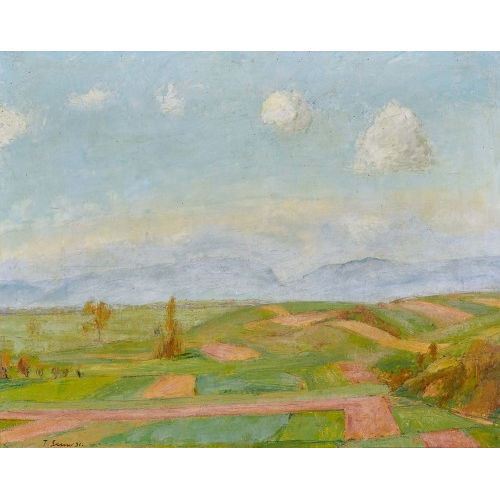TRAUGOTT SENN : Weite Feldlandschaft (DOBIASCHOFSKY AUKTIONEN AG)