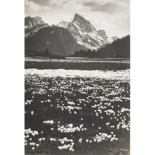 JACQUES NAEGELI : 'Bergfr�hling' (DOBIASCHOFSKY AUKTIONEN AG)