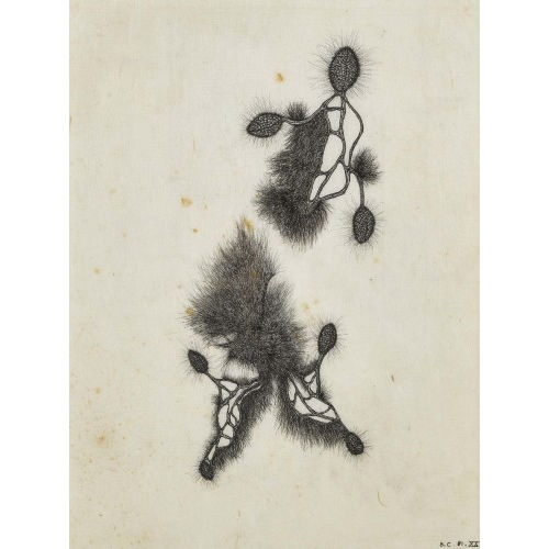 B�N�DICTE CAILLOT : Naturstudien (DOBIASCHOFSKY AUKTIONEN AG)