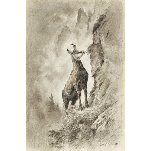 XAVIER DE PORET : Le chamois (DOBIASCHOFSKY AUKTIONEN AG)