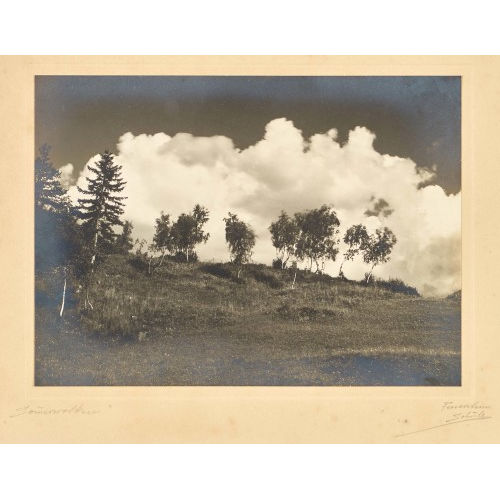 JOHANN FEUERSTEIN : 'Sommerwolken' (DOBIASCHOFSKY AUKTIONEN AG)