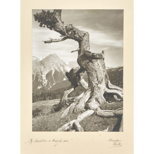 JOHANN FEUERSTEIN : 'Piz Madelaine v. Minger aus' (DOBIASCHOFSKY AUKTIONEN AG)