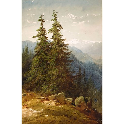 ALEXANDRE CALAME : Waldst�ck mit Felsbrocken (DOBIASCHOFSKY AUKTIONEN AG)