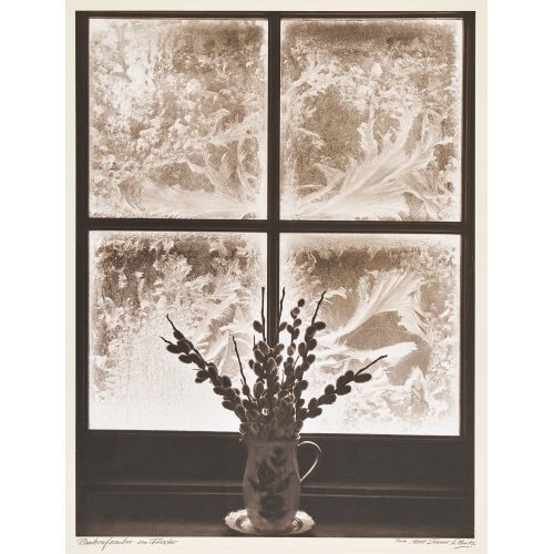 ALBERT STEINER : 'Rauhreifzauber am Fenster' (DOBIASCHOFSKY AUKTIONEN AG)