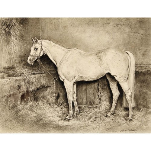 XAVIER DE PORET : Fancy Girl (im Stall von Oberst Glanzmann) (DOBIASCHOFSKY AUKTIONEN AG)