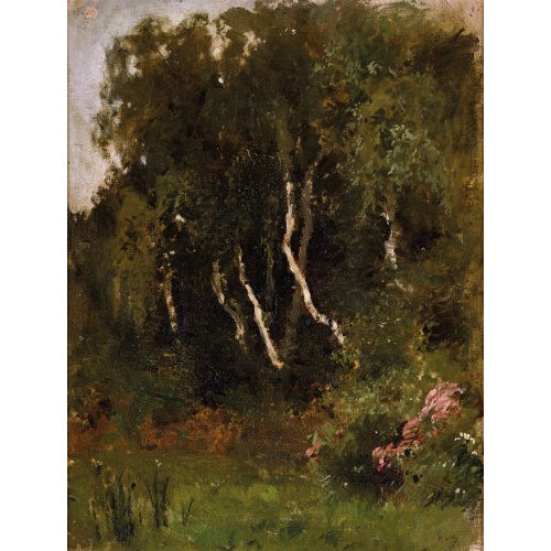 HANS SANDREUTER : Birken am Waldrand (DOBIASCHOFSKY AUKTIONEN AG)