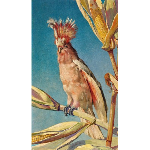 ALBERT WAGEN : Inka-Kakadu auf Maishalm (DOBIASCHOFSKY AUKTIONEN AG)
