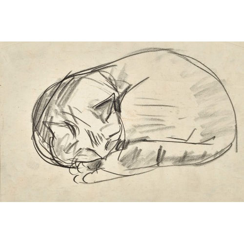 20. JH. SCHWEIZ : Schlafende Katze (DOBIASCHOFSKY AUKTIONEN AG)