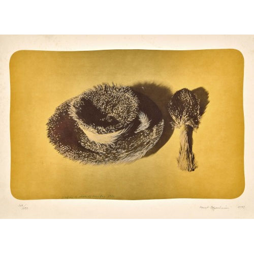 MERET OPPENHEIM : 'Pelztasse' (DOBIASCHOFSKY AUKTIONEN AG)