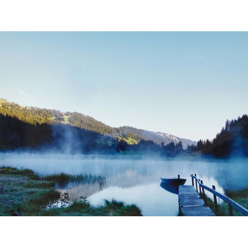 MICHEL COMTE : 'Am Lauenensee' (DOBIASCHOFSKY AUKTIONEN AG)