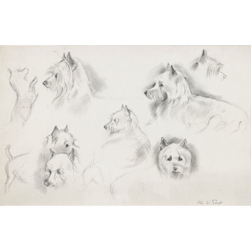 XAVIER DE PORET : Hundestudien (DOBIASCHOFSKY AUKTIONEN AG)