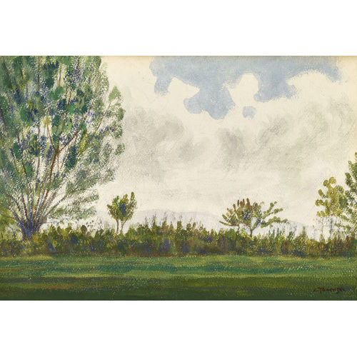 ALBERT TRACHSEL : Wiesenlandschaft mit B�umen (DOBIASCHOFSKY AUKTIONEN AG)
