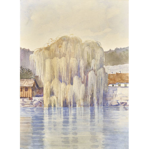 OSKAR BINZ : Trauerweide am Ufer (DOBIASCHOFSKY AUKTIONEN AG)