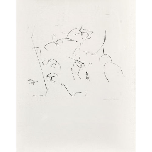HARRY CALLAHAN : 'Grasses in Snow, Detroit' (DOBIASCHOFSKY AUKTIONEN AG)