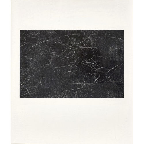 HARRY CALLAHAN : 'Grasses, Wisconsin' (DOBIASCHOFSKY AUKTIONEN AG)