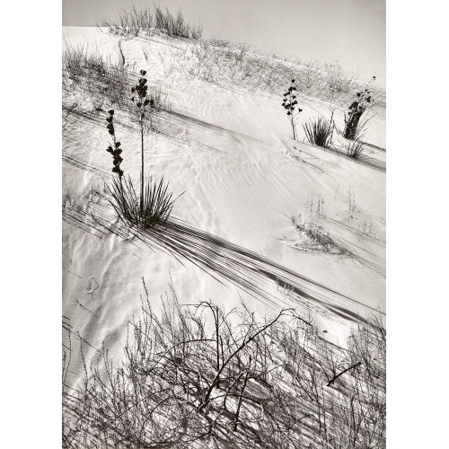 ANSEL ADAMS : 'Dunes, Hazy Sun, White Sands', 1941 (DOBIASCHOFSKY AUKTIONEN AG)
