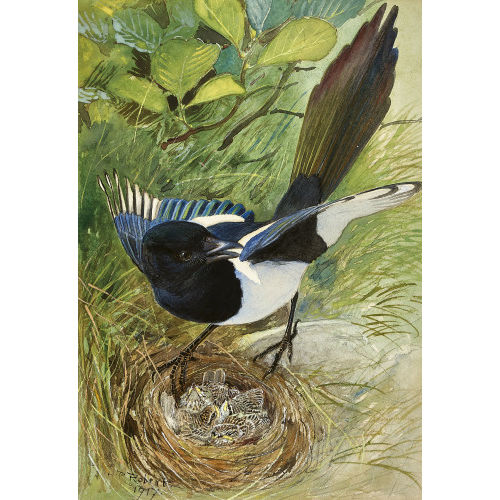 PAUL (EIGTL. L�O-PAUL-SAMUEL) ROBERT : Elster am Nest (DOBIASCHOFSKY AUKTIONEN AG)
