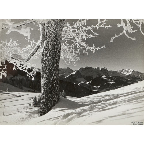 PAUL DREYFUSS : Winterstimmung im Saanenland (DOBIASCHOFSKY AUKTIONEN AG)