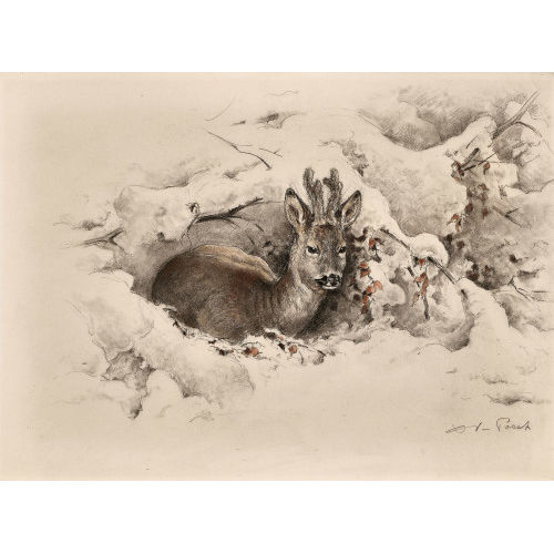 XAVIER DE PORET : Sitzendes Reh im Schnee (DOBIASCHOFSKY AUKTIONEN AG)